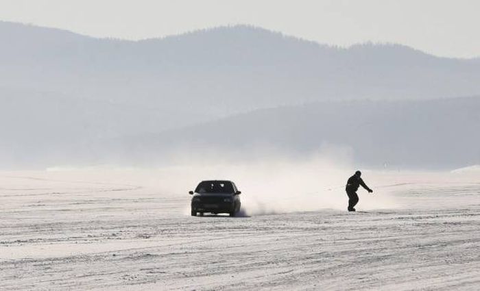 Прикольные картинки