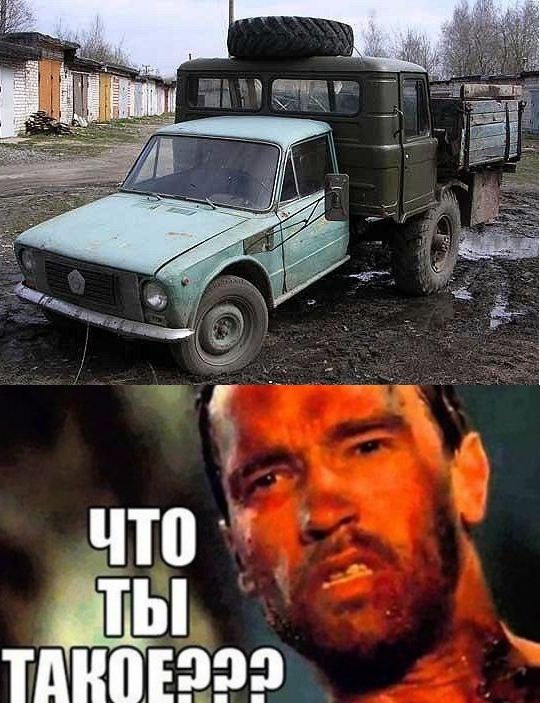 Прикольные картинки
