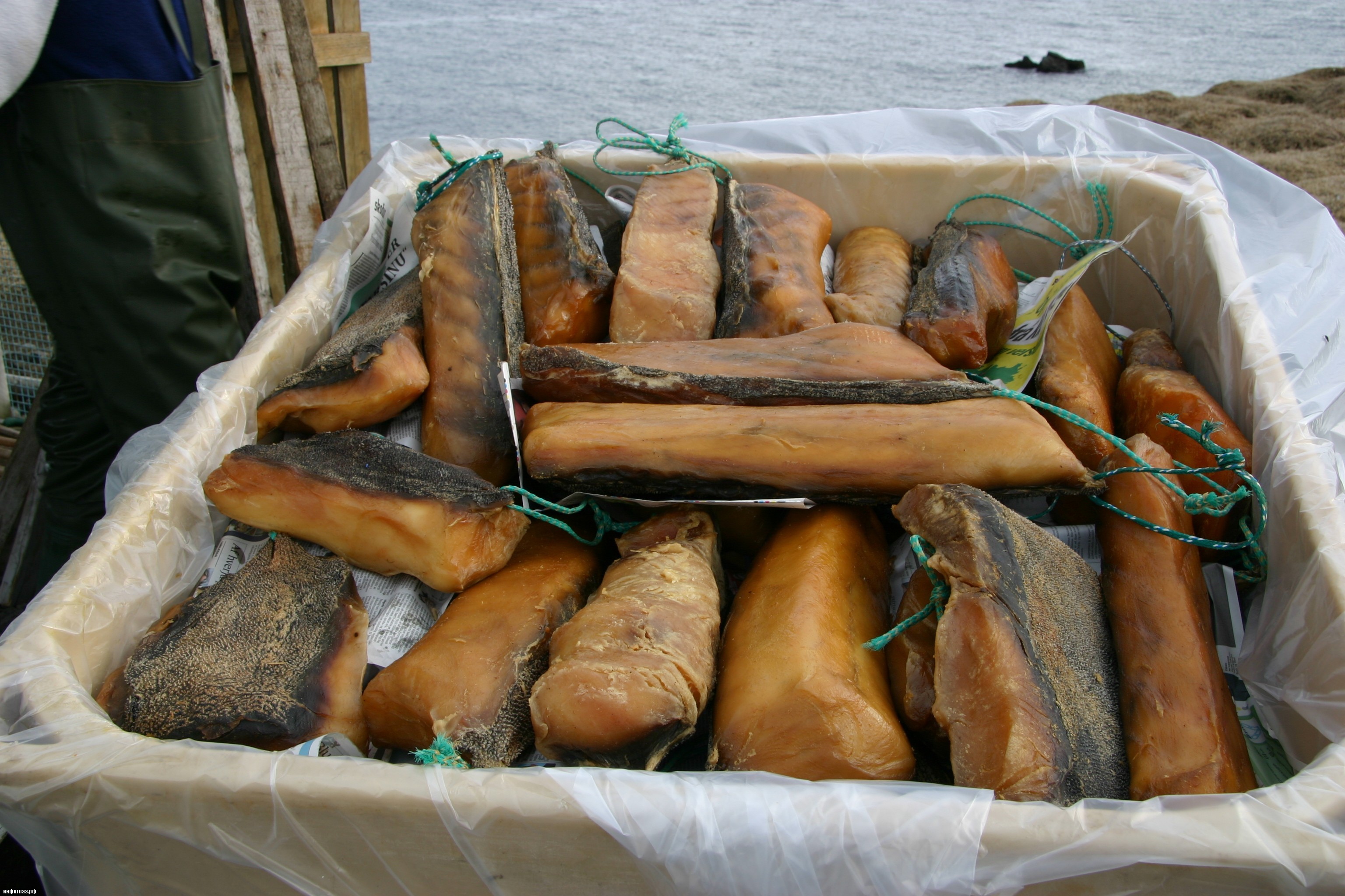 Столетние яйца китайский деликатес. Тухлые яйца деликатес в тайланде. Китайский деликатес тухлое яйцо. Ферментированные утиные яйца китайские. Кровавый моллюск анадара.