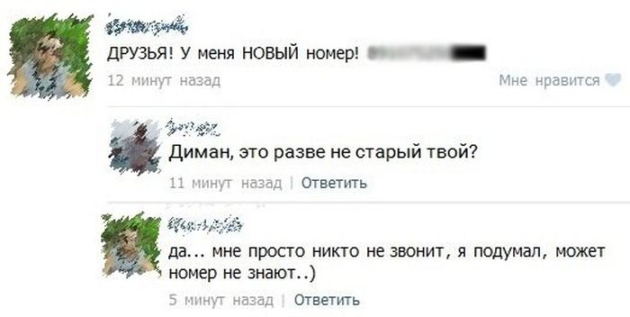 Прикольные картинки