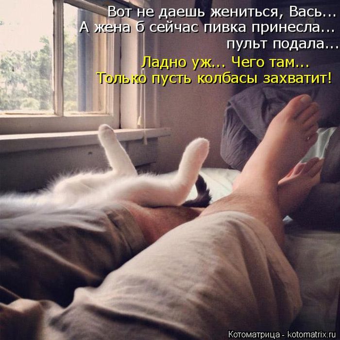 Лучшие котоматрицы недели