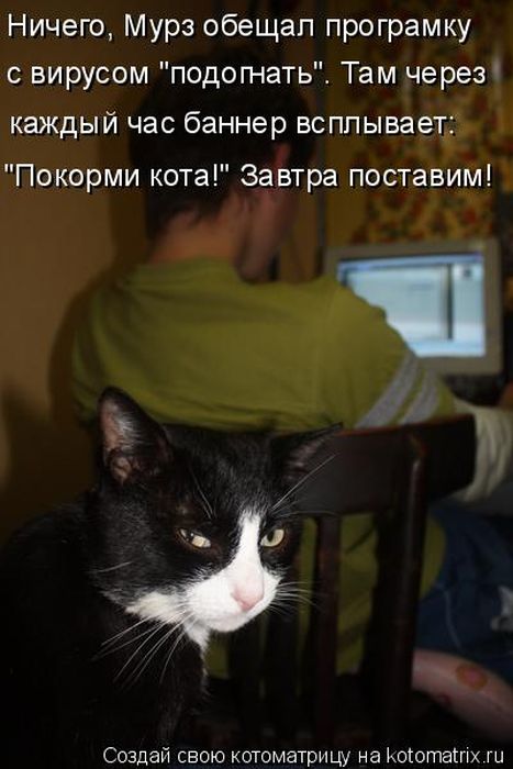 Лучшие котоматрицы недели