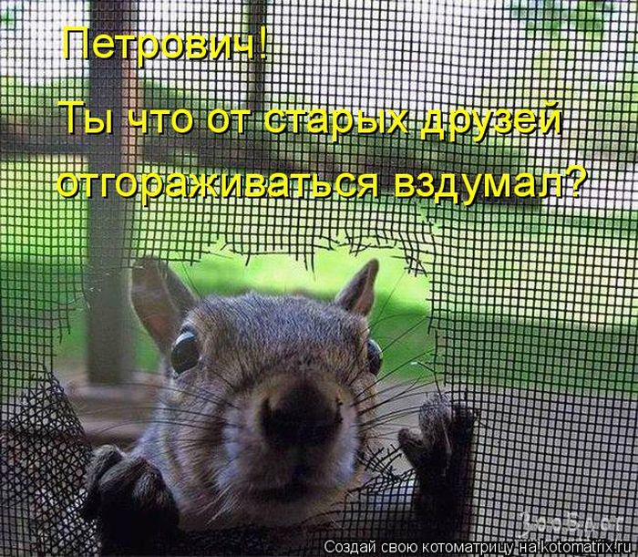 Лучшие котоматрицы недели