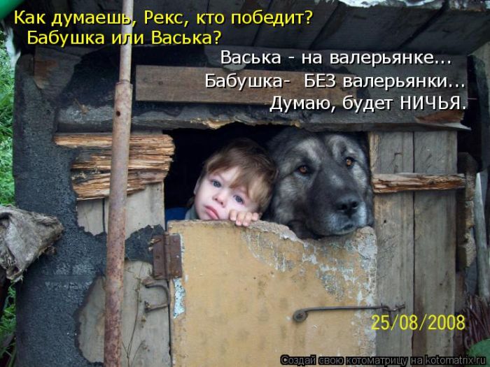 Лучшие котоматрицы недели