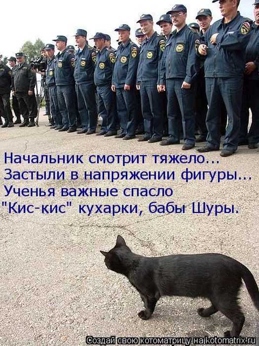 Лучшие котоматрицы недели