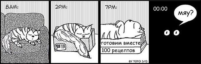 Проблемы жизни с котом в забавном комиксе