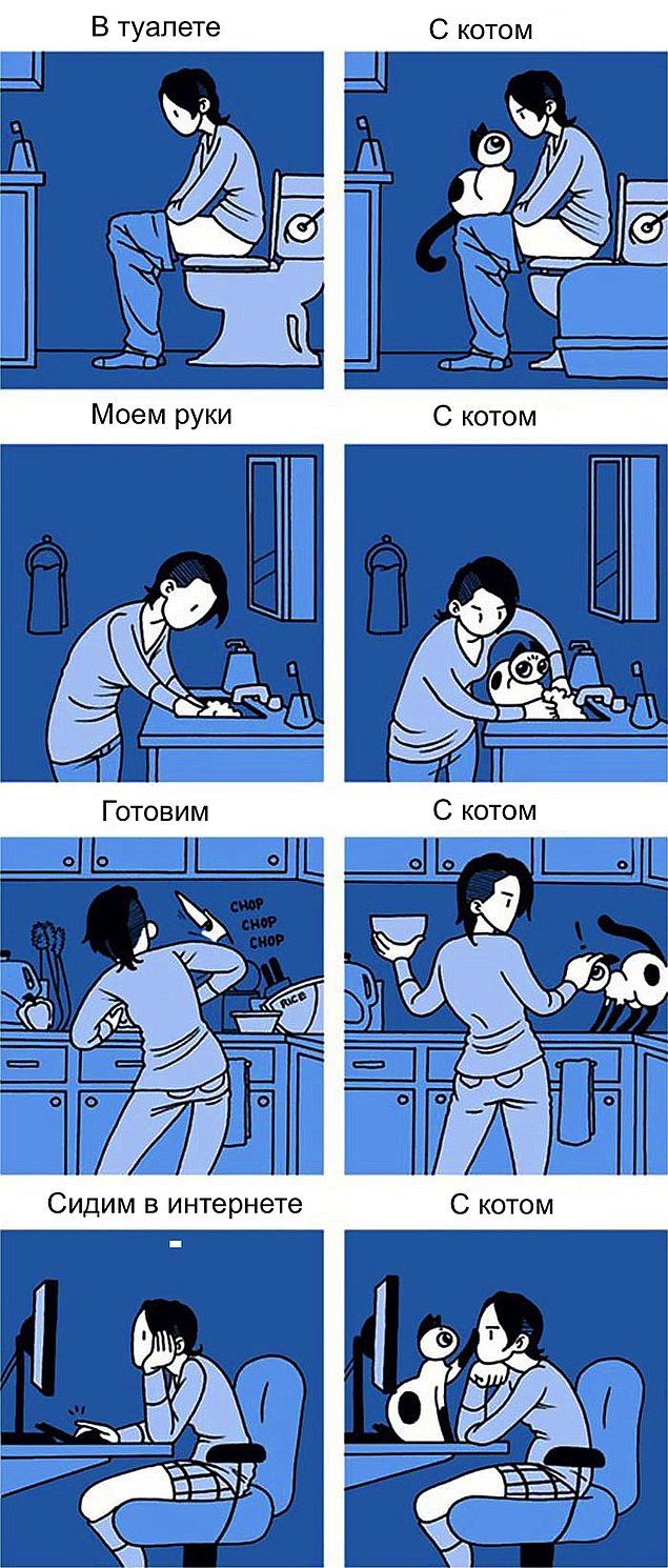 Проблемы жизни с котом в забавном комиксе