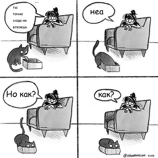 Проблемы жизни с котом в забавном комиксе