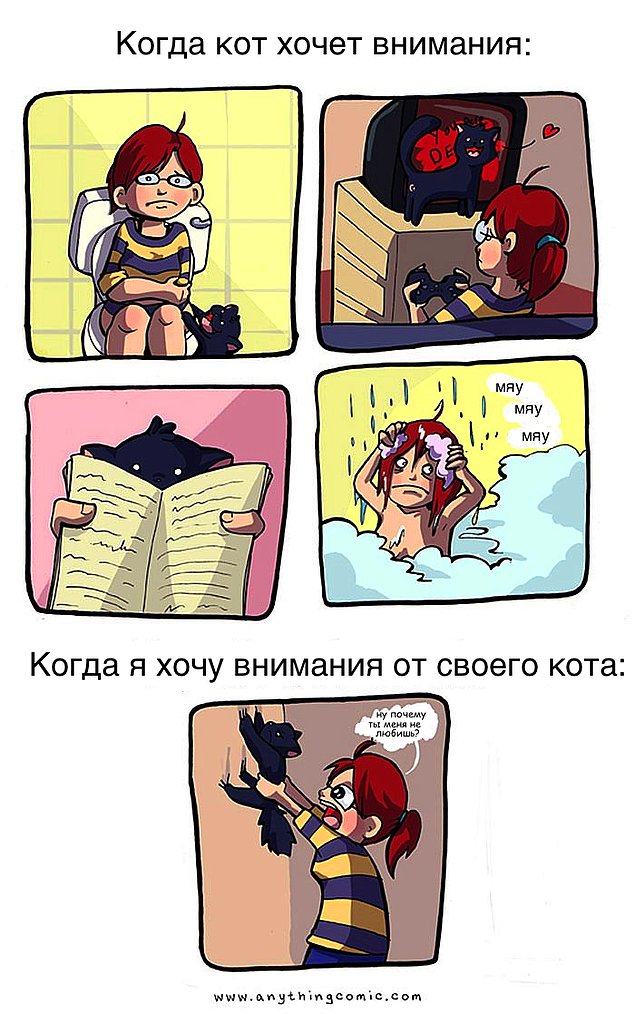 Проблемы жизни с котом в забавном комиксе