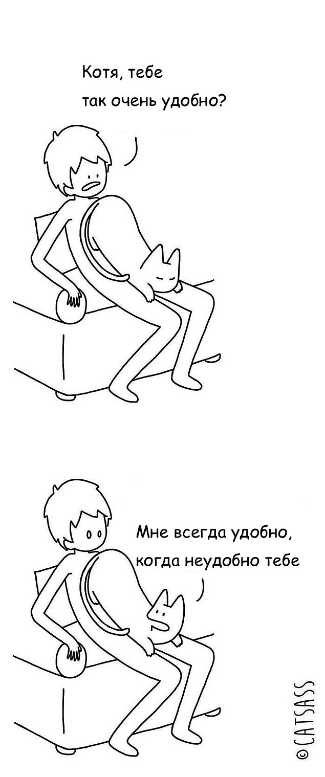 Проблемы жизни с котом в забавном комиксе