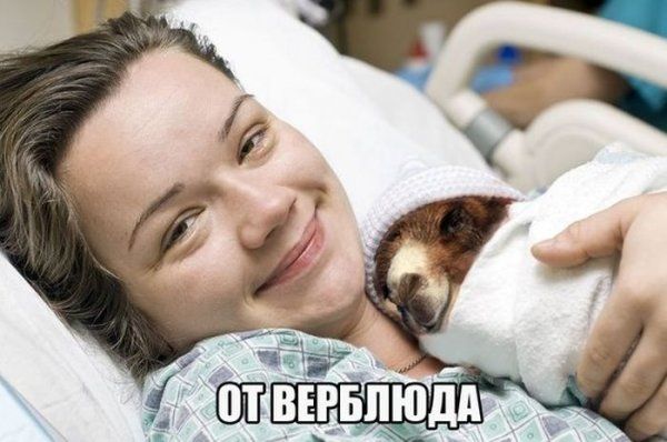Прикольные картинки (73 фото)