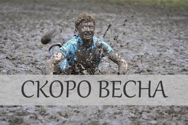 Прикольные картинки (73 фото)