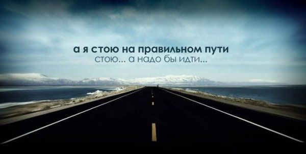 Прикольные картинки (73 фото)