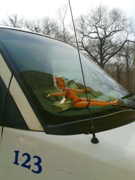 Прикольные картинки (73 фото)