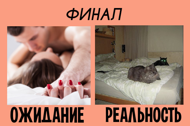 Каким будет 8 Марта: ожидания и реальность