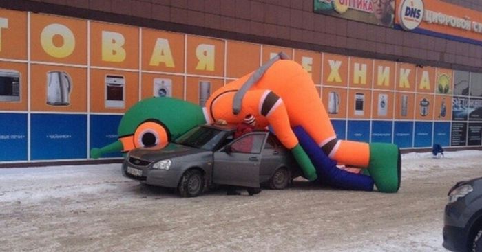 Порция картинок