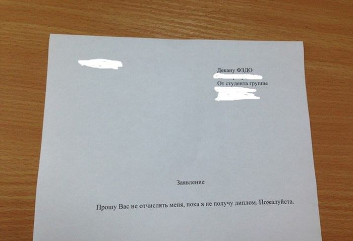 Порция картинок
