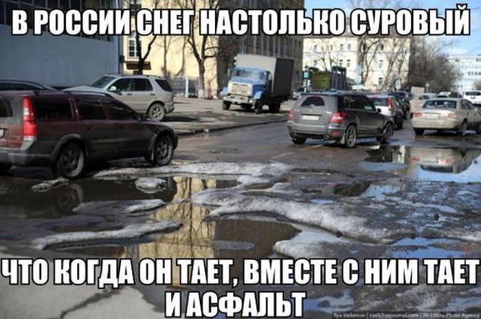 Порция картинок