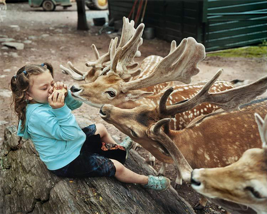 Проект Робин Шварц "Амелия и животные"