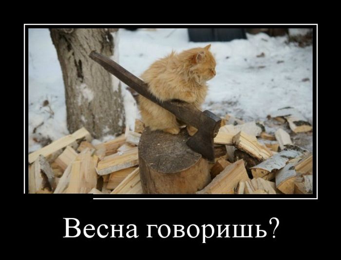 Демотиваторы