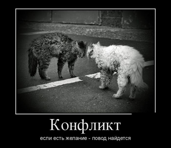 Демотиваторы