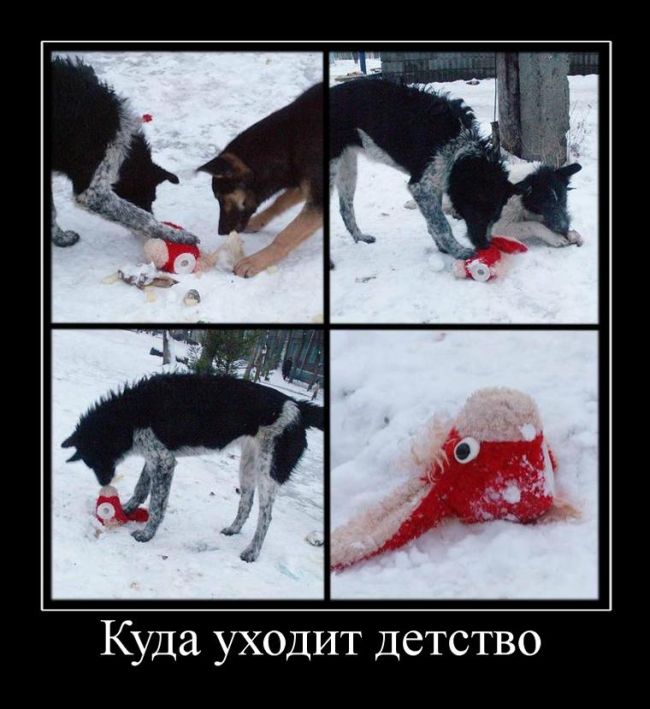 Демотиваторы