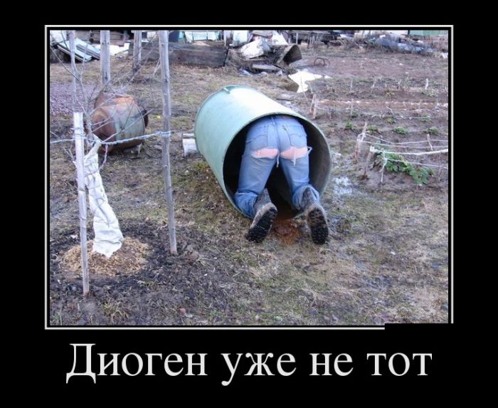 Демотиваторы