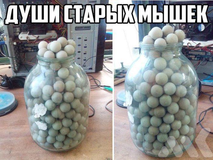 Прикольные картинки