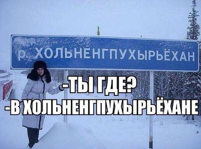 Прикольные картинки