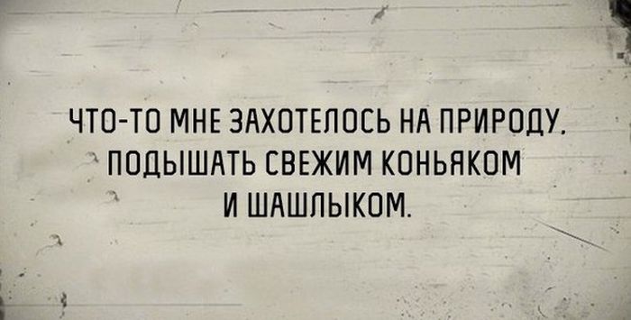 Прикольные картинки Прикольные картинки