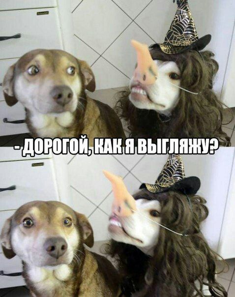 Прикольные картинки