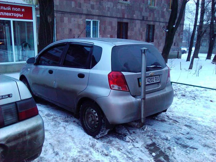 Прикольные картинки
