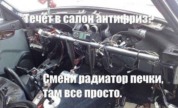 Прикольные картинки