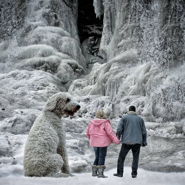 Невероятные приключения американского фотографа и его «собаки-великана»