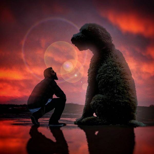 Невероятные приключения американского фотографа и его «собаки-великана»