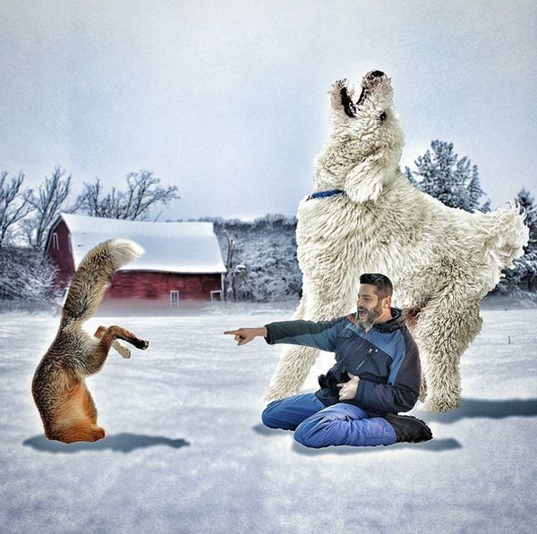 Невероятные приключения американского фотографа и его «собаки-великана»