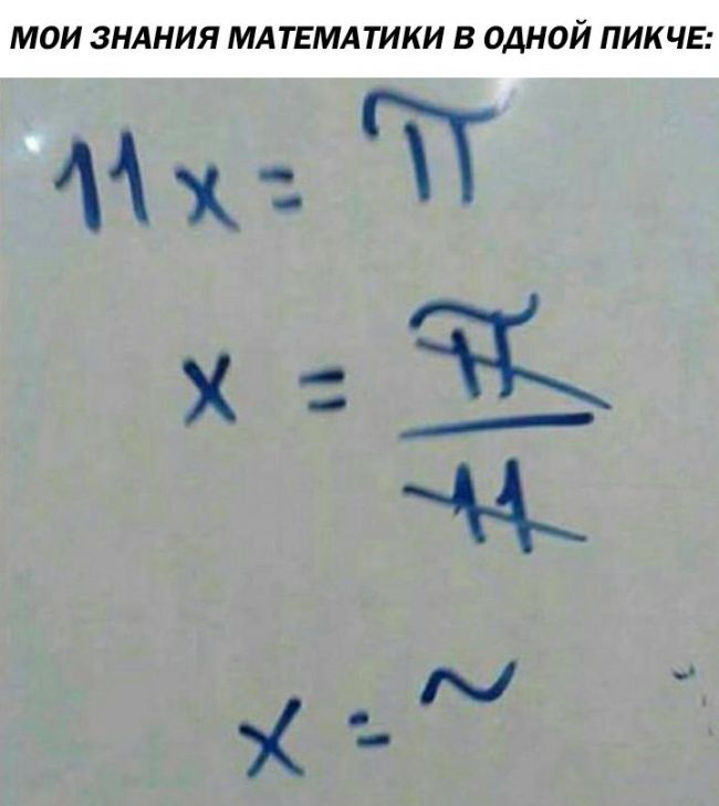 Прикольные картинки