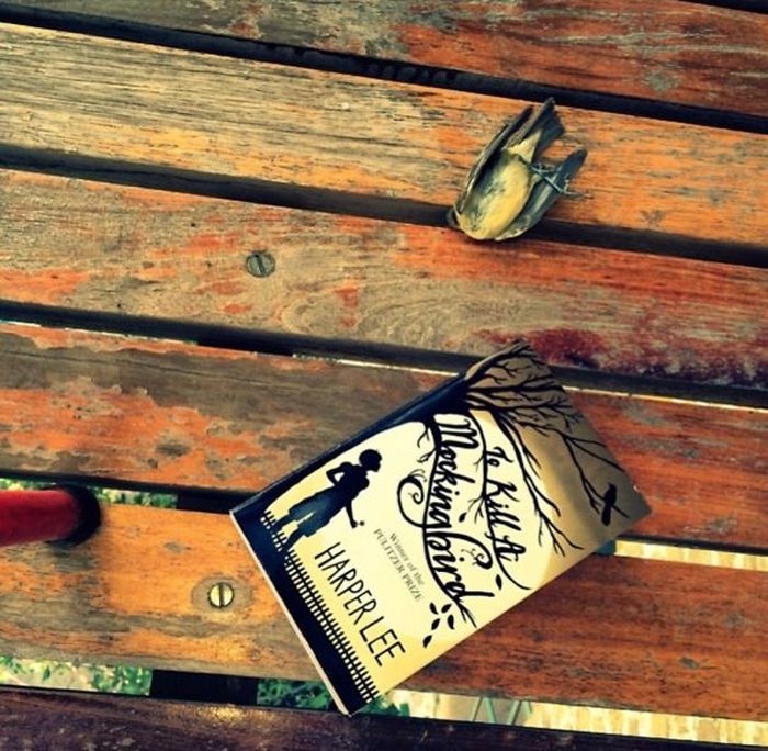 Прикольные совпадения