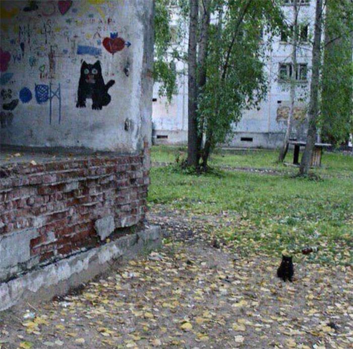 Прикольные совпадения