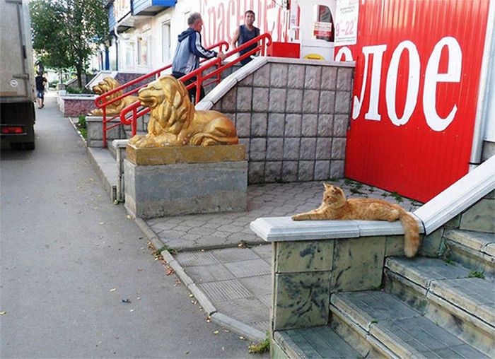Прикольные совпадения