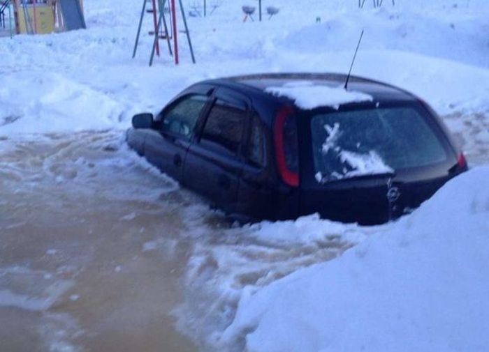 Прикольные картинки