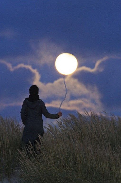 Фотоиллюзии, которые получились случайно (64 фото)