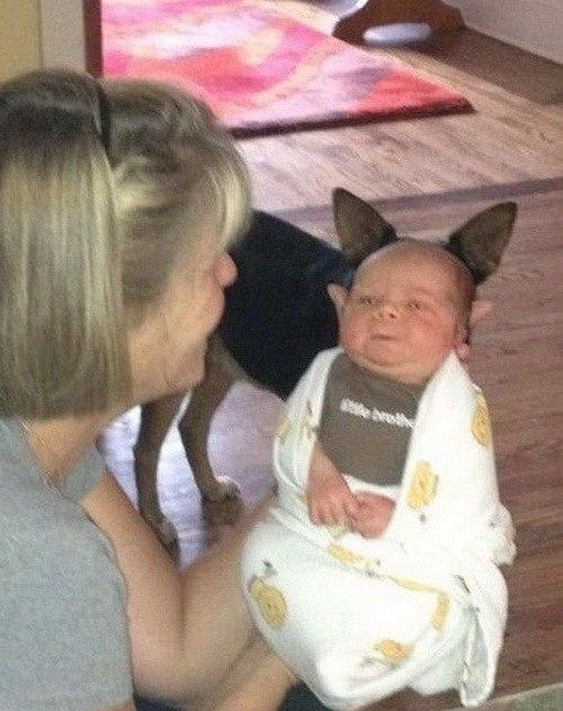 Фотоиллюзии, которые получились случайно (64 фото)