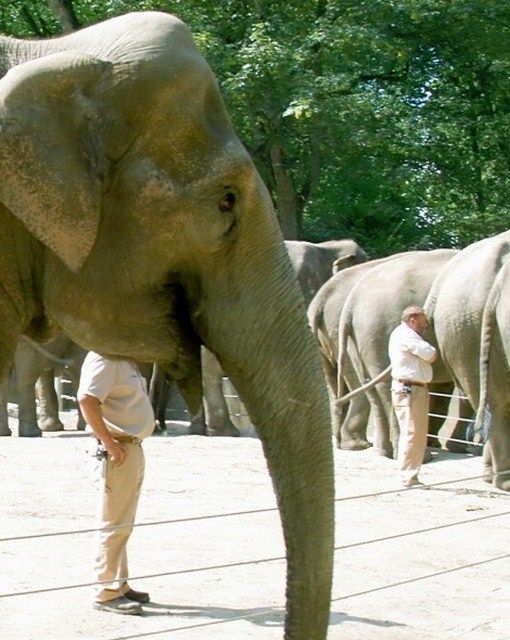 Фотоиллюзии, которые получились случайно (64 фото)