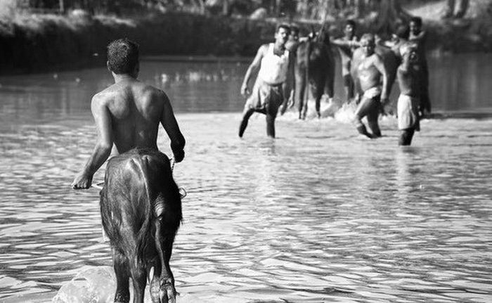 Фотоиллюзии, которые получились случайно (64 фото)