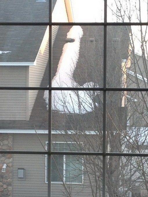 Фотоиллюзии, которые получились случайно (64 фото)