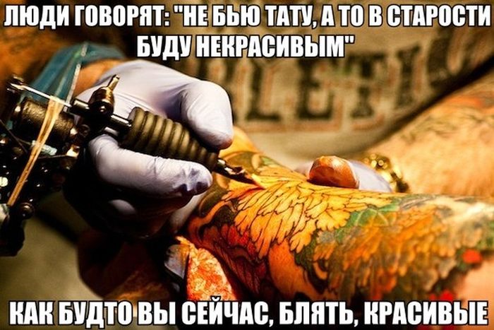 Порция картинок