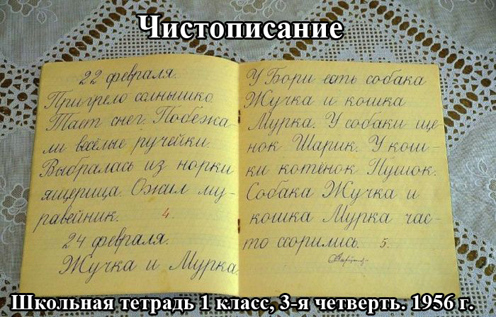 Порция картинок