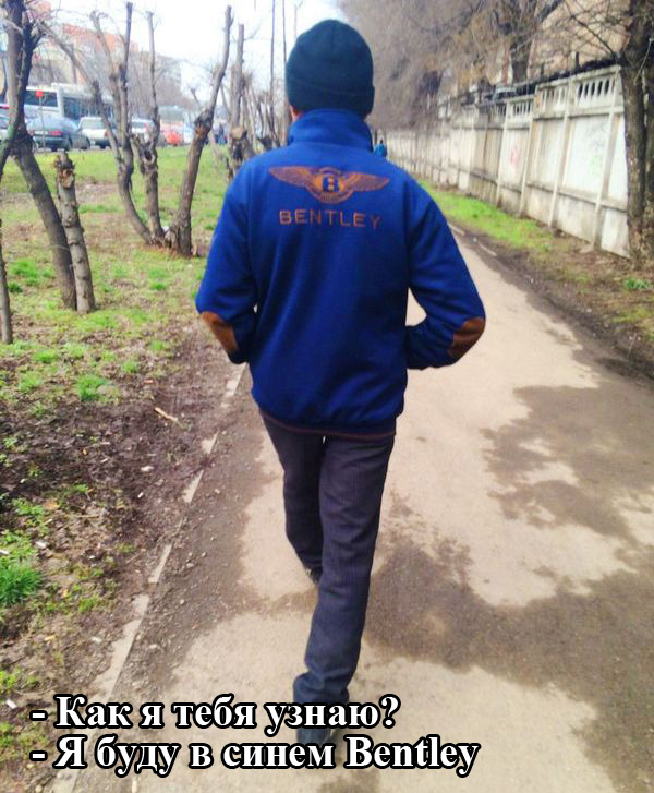 Порция картинок