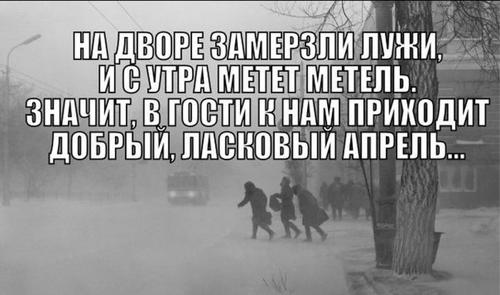 Порция картинок